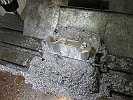 IMG_0088