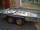 P4150025